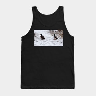 Ducks On The Winter Snow Tank Top